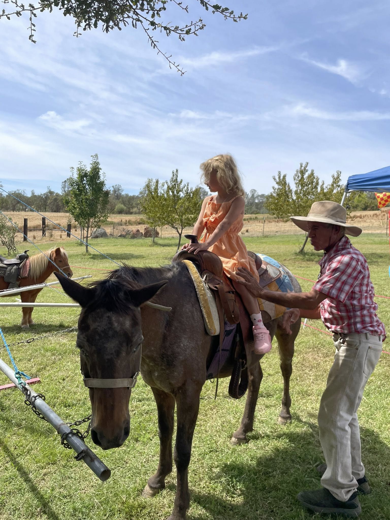 Pony rides at Charlton Ranch