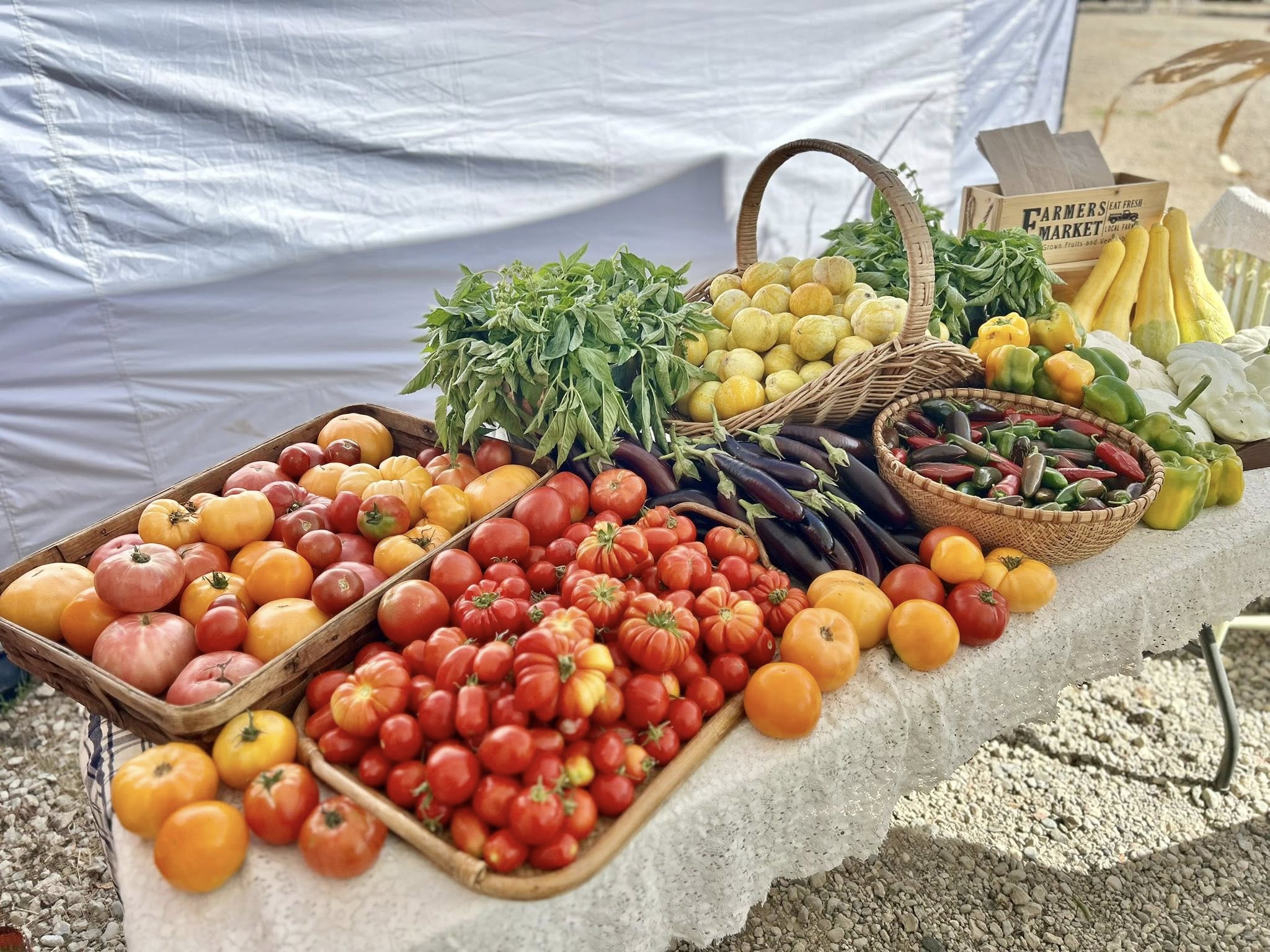 More produce at Charlton Ranch