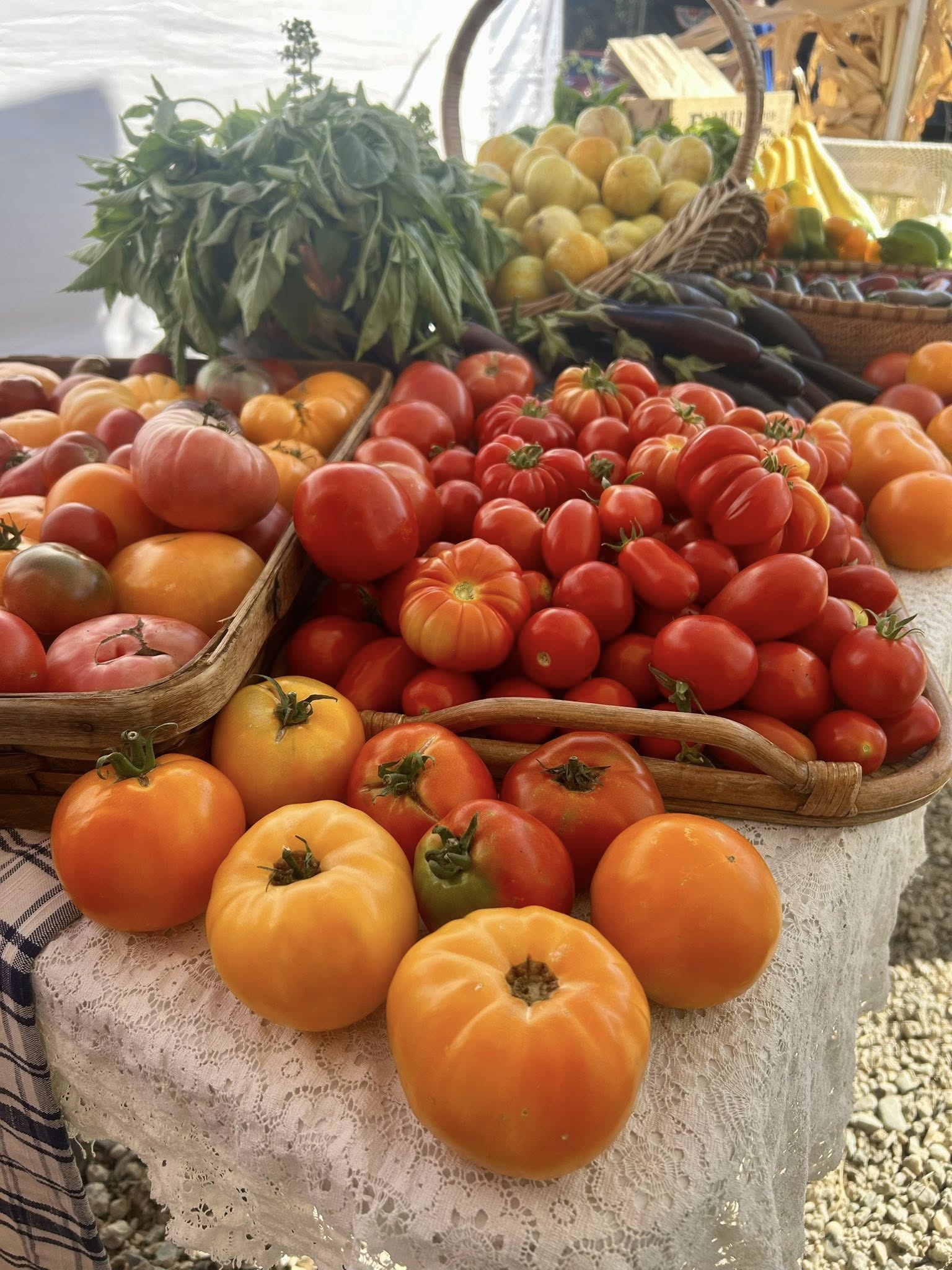Produce variety at Charlton Ranch