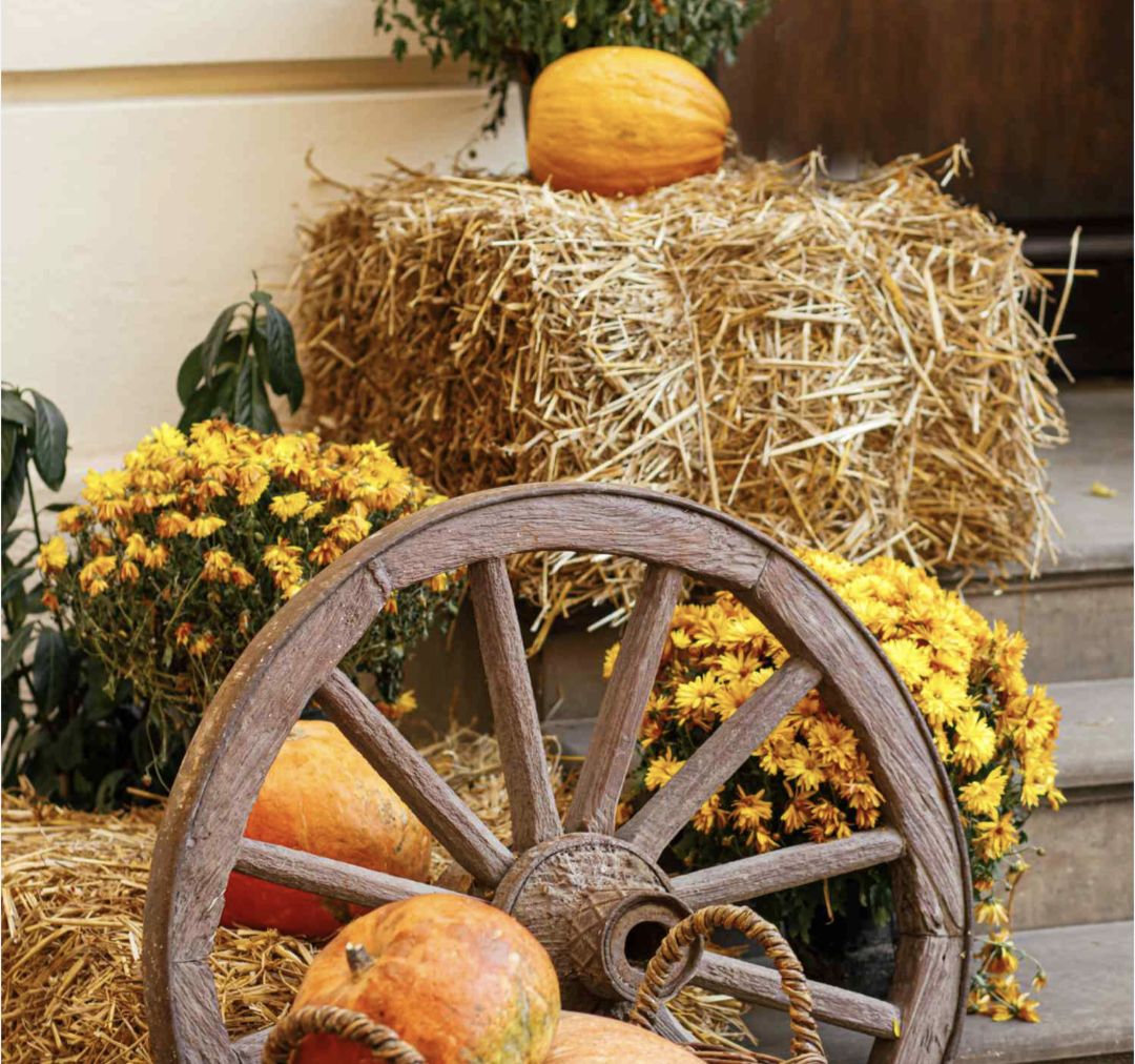 Wheel activity at Charlton Ranch